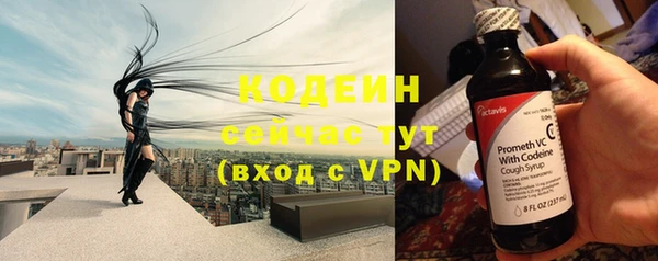 индика Лабытнанги