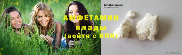 твердый Ладушкин
