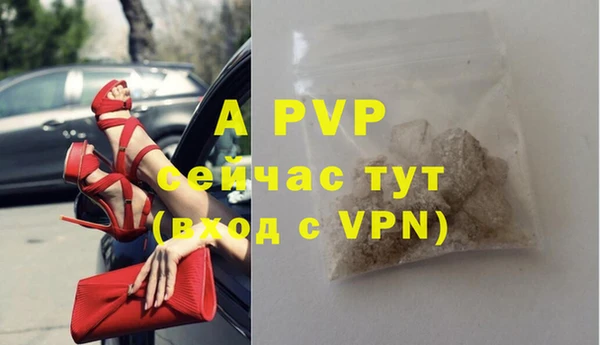 индика Лабытнанги