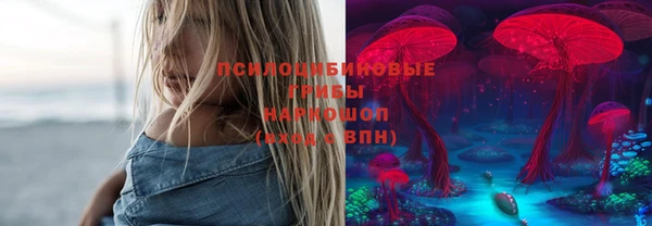ПСИЛОЦИБИНОВЫЕ ГРИБЫ Лагань