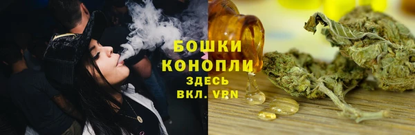 твердый Ладушкин