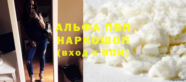 индика Лабытнанги