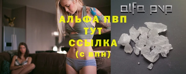 твердый Ладушкин