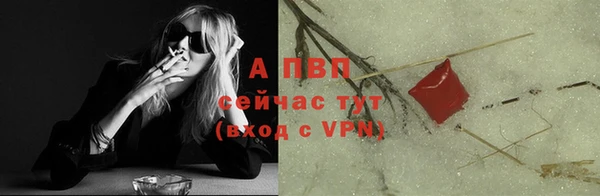 индика Лабытнанги