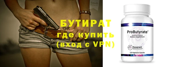 индика Лабытнанги