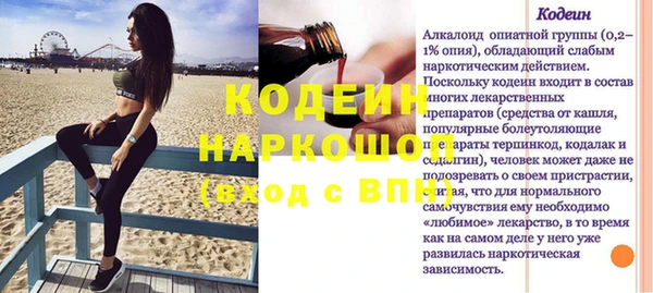 индика Лабытнанги