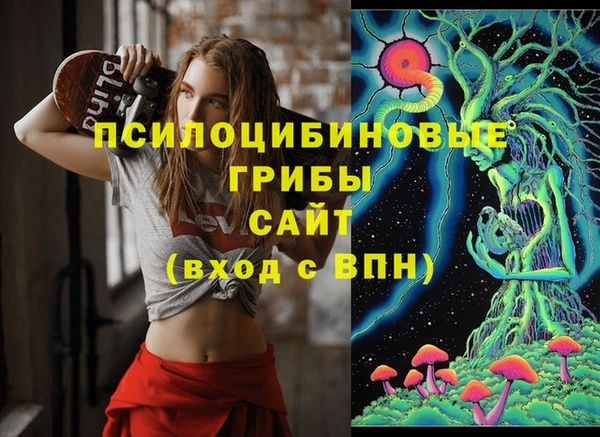 ПСИЛОЦИБИНОВЫЕ ГРИБЫ Лагань