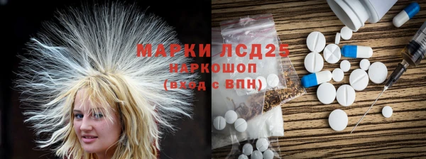 ПСИЛОЦИБИНОВЫЕ ГРИБЫ Лагань