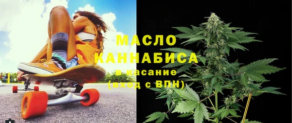 индика Лабытнанги