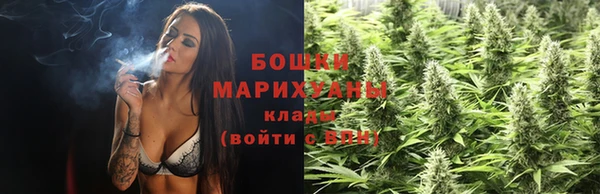 ПСИЛОЦИБИНОВЫЕ ГРИБЫ Лагань
