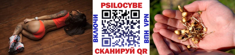 Купить  Котельники  Псилоцибиновые грибы ЛСД 