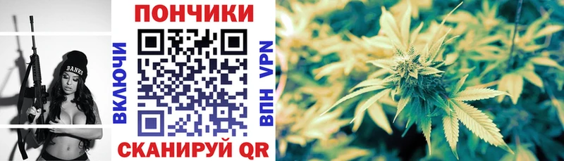 Купить закладки  Котельники  Каннабис White Widow 
